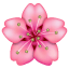Emoji de una flor rosa U+1F338 Emoji de una flor rosa U+1F338