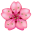 Pink flower emoji U + 1F338