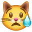Emoticono de un gato llorando U+1F63F