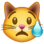 Emoticono de un gato llorando U+1F63F Emoticono de un gato llorando U+1F63F
