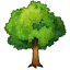 Emoji de un árbol caducifolio WhatsApp U+1F333
