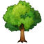 Emoji de un árbol caducifolio WhatsApp U+1F333 Emoji de un árbol caducifolio WhatsApp U+1F333