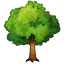 Deciduous tree emoji WhatsApp U + 1F333