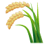 Planta de arroz con panoja U+1F33E Planta de arroz con panoja U+1F33E