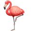 Flamenco WhatsApp U+1F9A9 Flamenco WhatsApp U+1F9A9