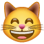 Cara de gato sonriente WhatsApp U+1F638 Cara de gato sonriente WhatsApp U+1F638