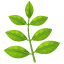 Emoji rama con hojas U+1F33F