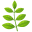 Branch emoji with leaves U + 1F33F