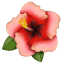 Hibiscus emoji U + 1F33A