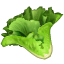 Lechuga U+1F96C Lechuga U+1F96C