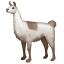 Llama U+1F999 Llama U+1F999