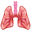 Pulmones WhatsApp U+1FAC1 Pulmones WhatsApp U+1FAC1