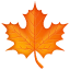 Hoja de arce WhatsApp U+1F341 Hoja de arce WhatsApp U+1F341