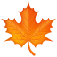 Maple leaf WhatsApp U + 1F341