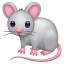 Ratón blanco WhatsApp U+1F401 Ratón blanco WhatsApp U+1F401