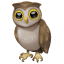 Emoji búho WhatsApp U+1F989 Emoji búho WhatsApp U+1F989