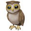 Owl emoji WhatsApp U + 1F989