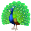 Pavo real U+1F99A Pavo real U+1F99A