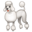 Caniche emoji U+1F429 Caniche emoji U+1F429