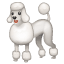 Poodle emoji U + 1F429