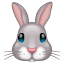 Emoji conejo WhatsApp U+1F430 Emoji conejo WhatsApp U+1F430