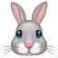 Rabbit emoji WhatsApp U + 1F430