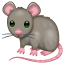 Gray rat WhatsApp U + 1F400