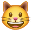 Emoticono de un gato sonriente U+1F63A Emoticono de un gato sonriente U+1F63A