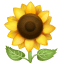 Emoji girasol U+1F33B Emoji girasol U+1F33B