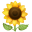 Sunflower emoji U + 1F33B