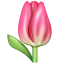 Emoji de un tulipán U+1F337 Emoji de un tulipán U+1F337