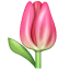 Tulip emoji U + 1F337