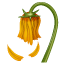 Flor marchita WhatsApp U+1F940 Flor marchita WhatsApp U+1F940