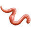 Emoji de gusano U+1FAB1 Emoji de gusano U+1FAB1